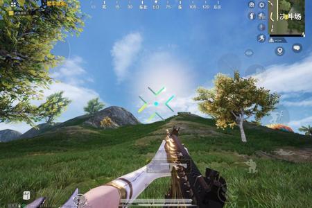 和平精英辅助使用常见问题解答的配图，内容相关：不同辅助工具的功能差异较大，有的仅提供基础透视，而高端版本则包含自动压枪、物资追踪等。玩家应根据自身...